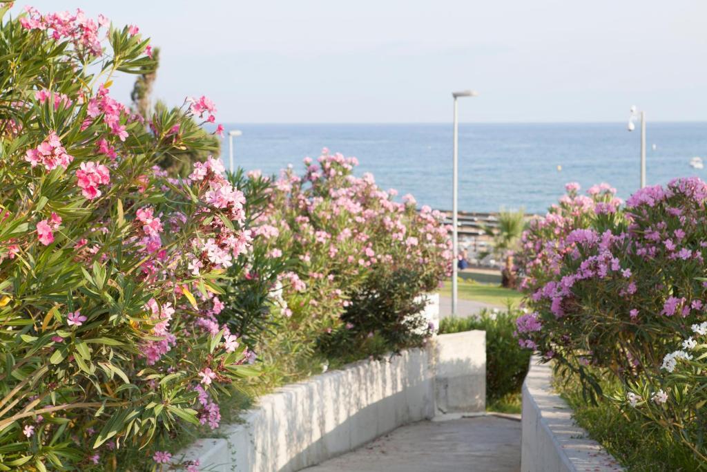 West Park Hotel 4*